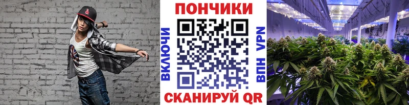 магазин продажи   Черкесск  Каннабис OG Kush 